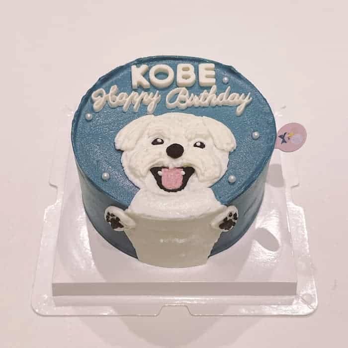 Trần Ngọc Huyền avatar