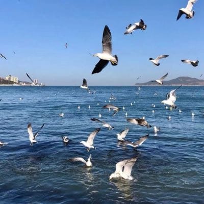 Hoàng Tiến Anh avatar